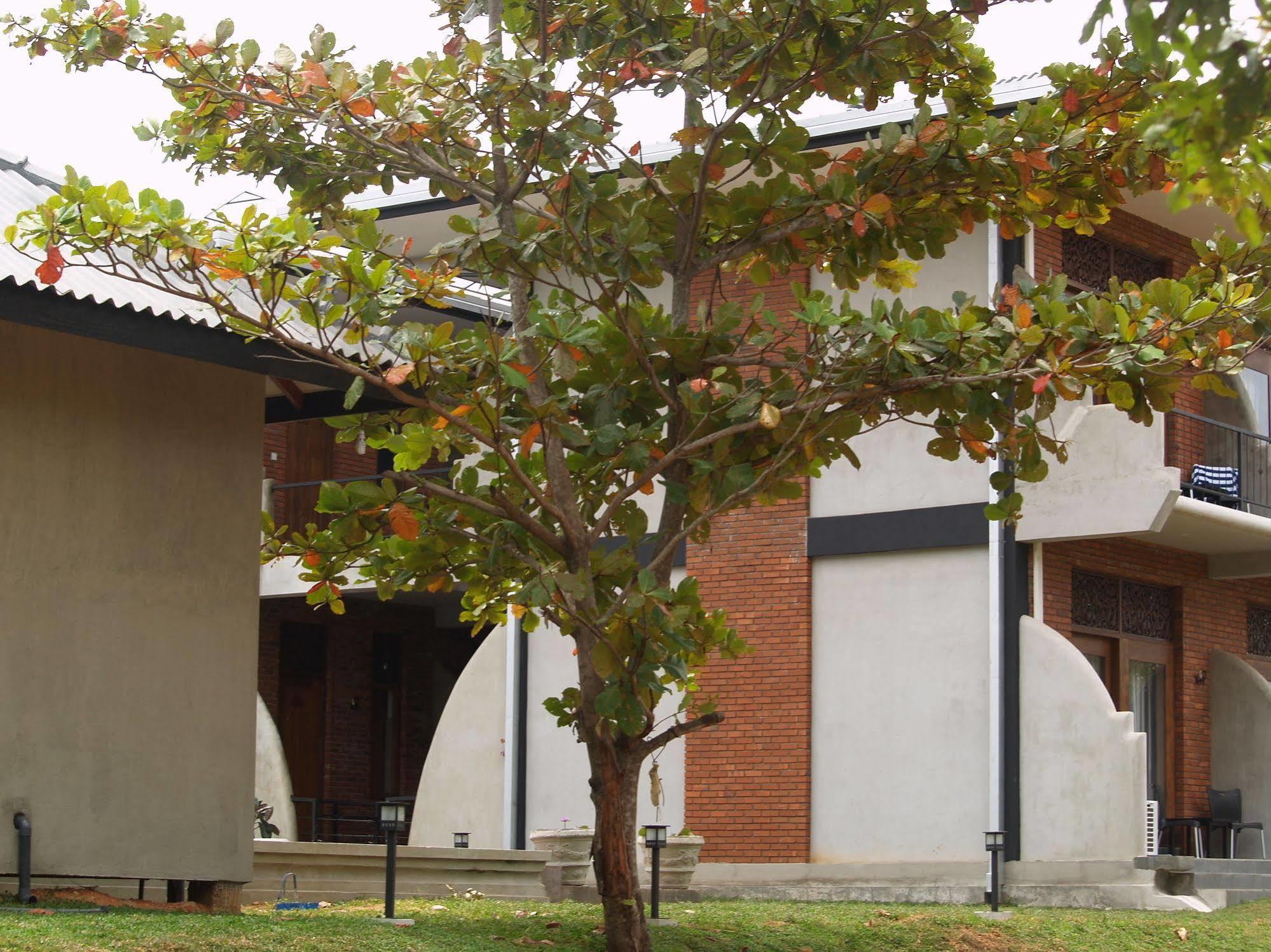 Welimaluwa Resort Sigiriya Kibissa Exterior foto